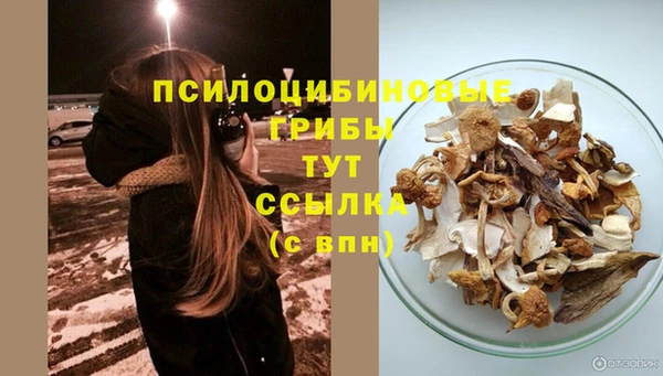 крисы Абинск